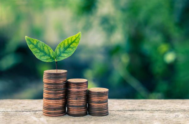 What Makes Online Tutoring Business a Profitable Idea To Invest in 2022